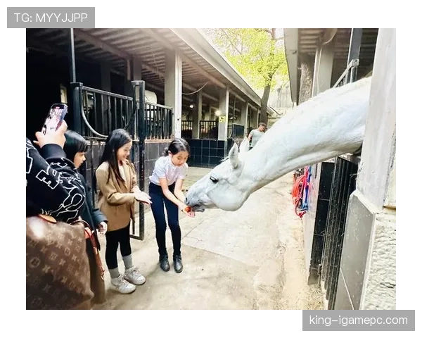 富里睡醒发现自家马场又多了一匹纯血小马，账单还没付清呢